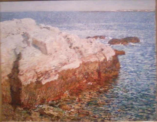 Roca del acantilado - Appledore